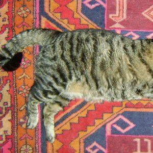 Meet your Posher, Warren